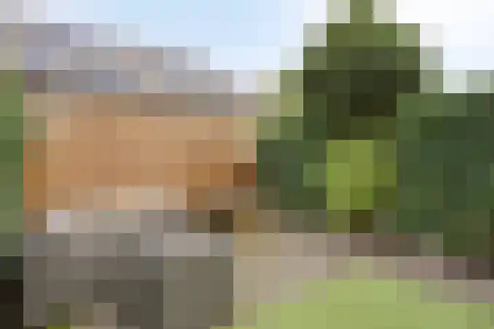 Bornberg 37 Amersfoort thumbnail 37