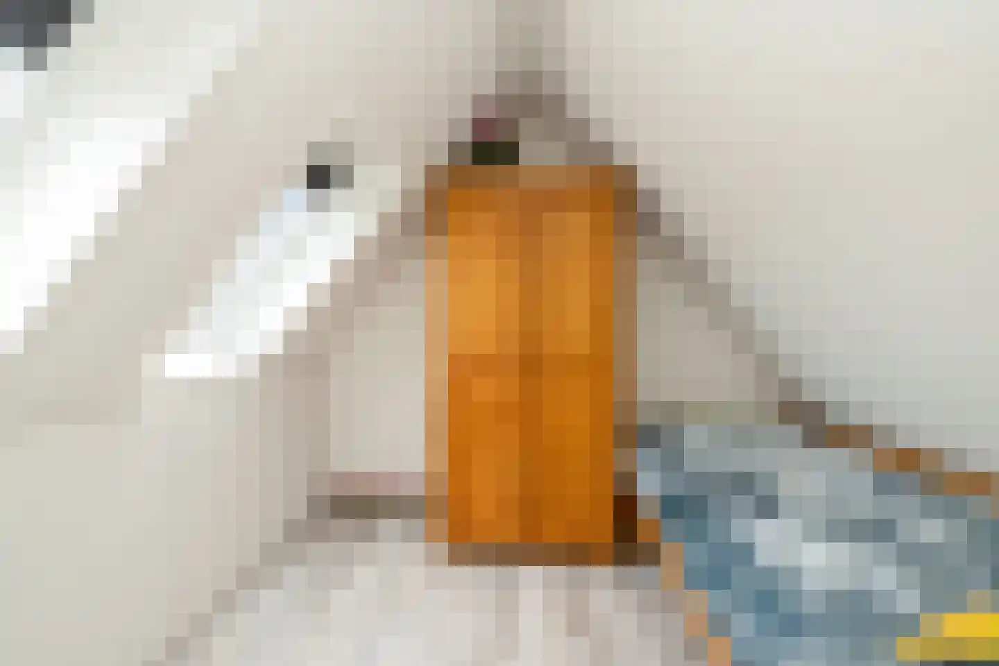Borndiep 11 Wieringerwerf thumbnail 26