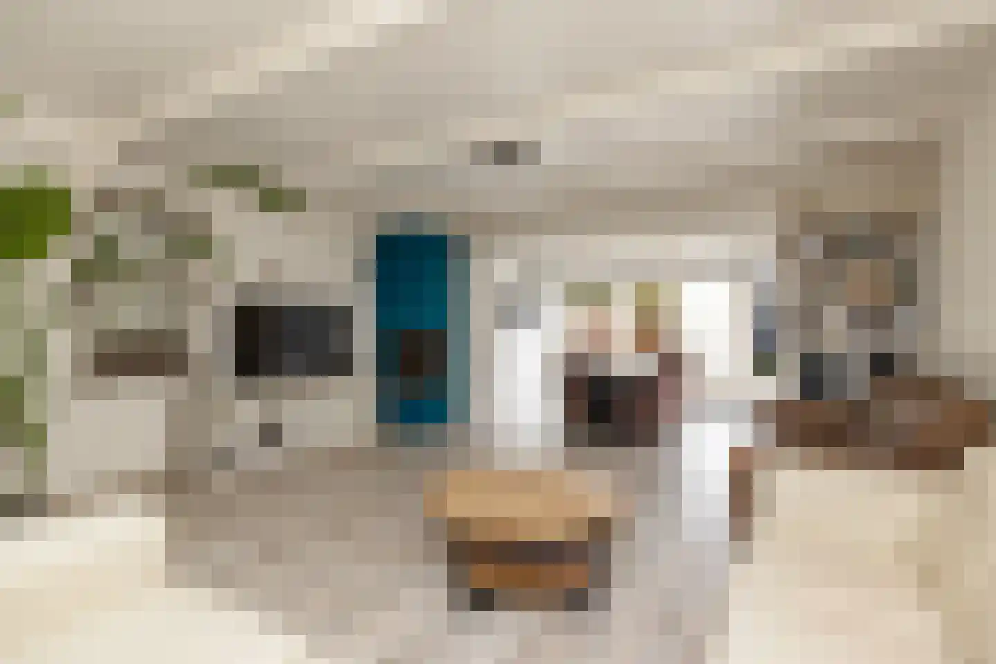 Borndiep 11 Wieringerwerf foto 3