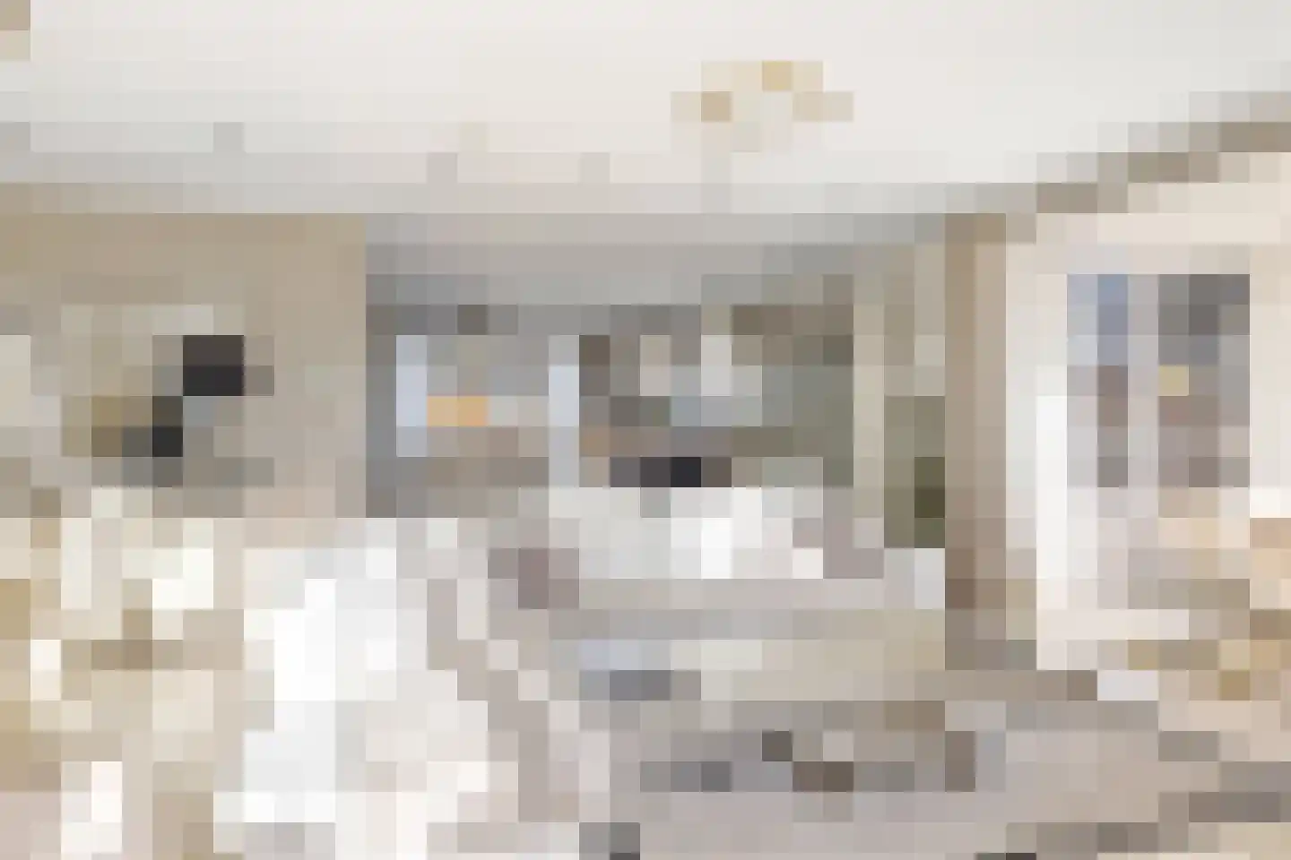 Borndiep 16 Sneek thumbnail 24
