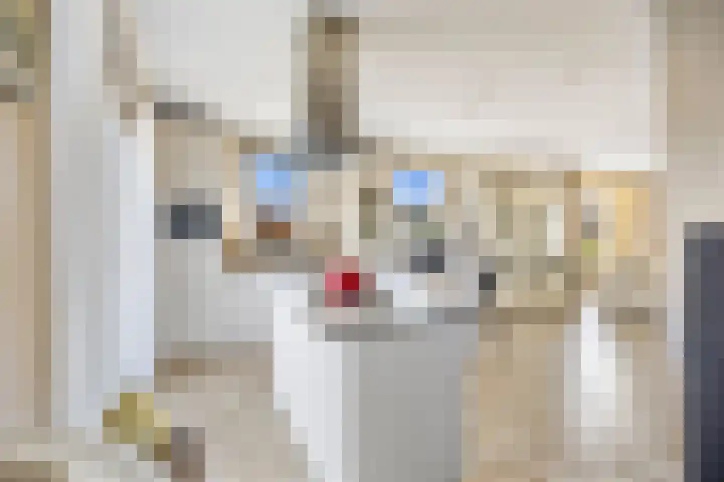 Borndiep 16 Sneek thumbnail 28