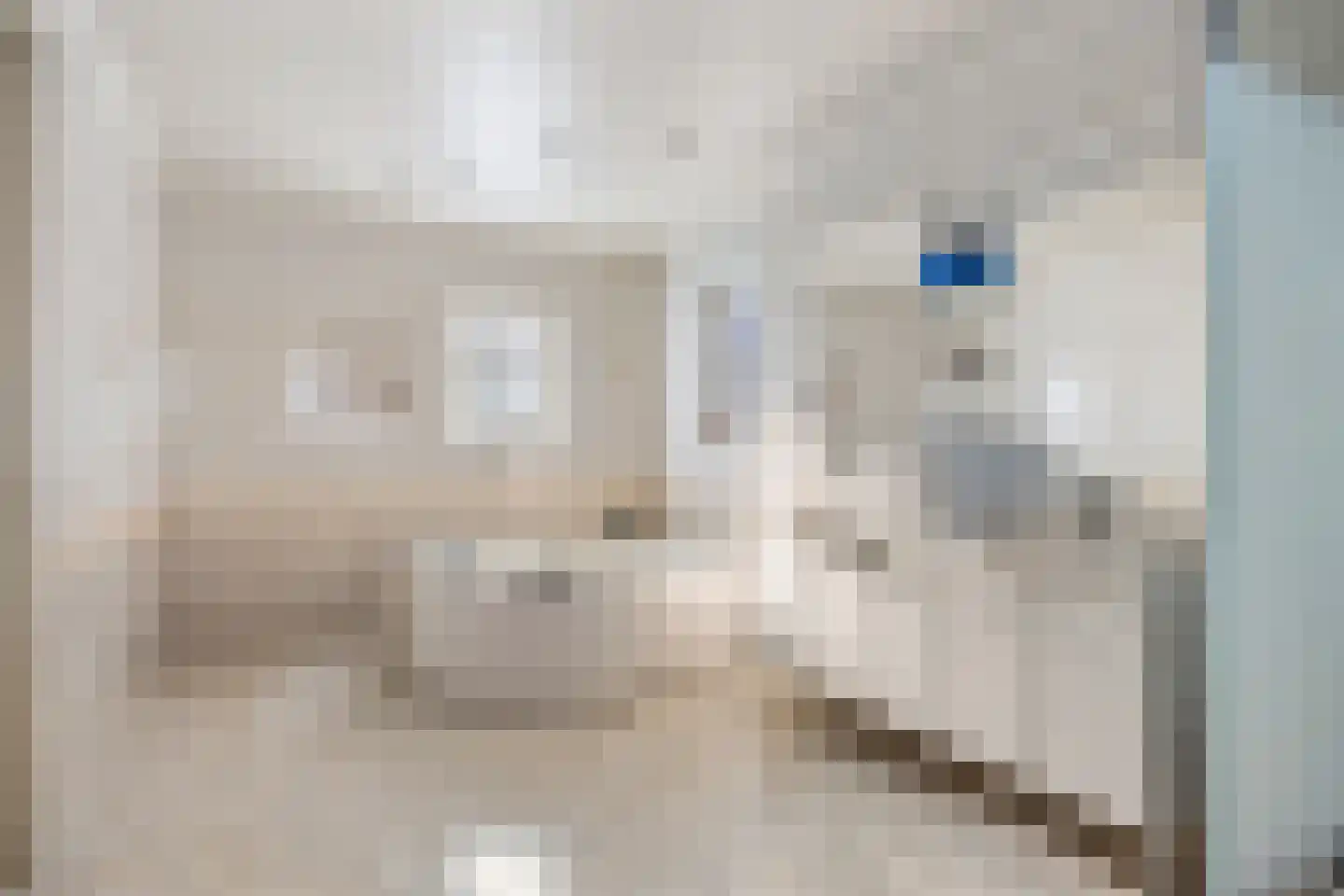 Borndiep 16 Sneek thumbnail 30