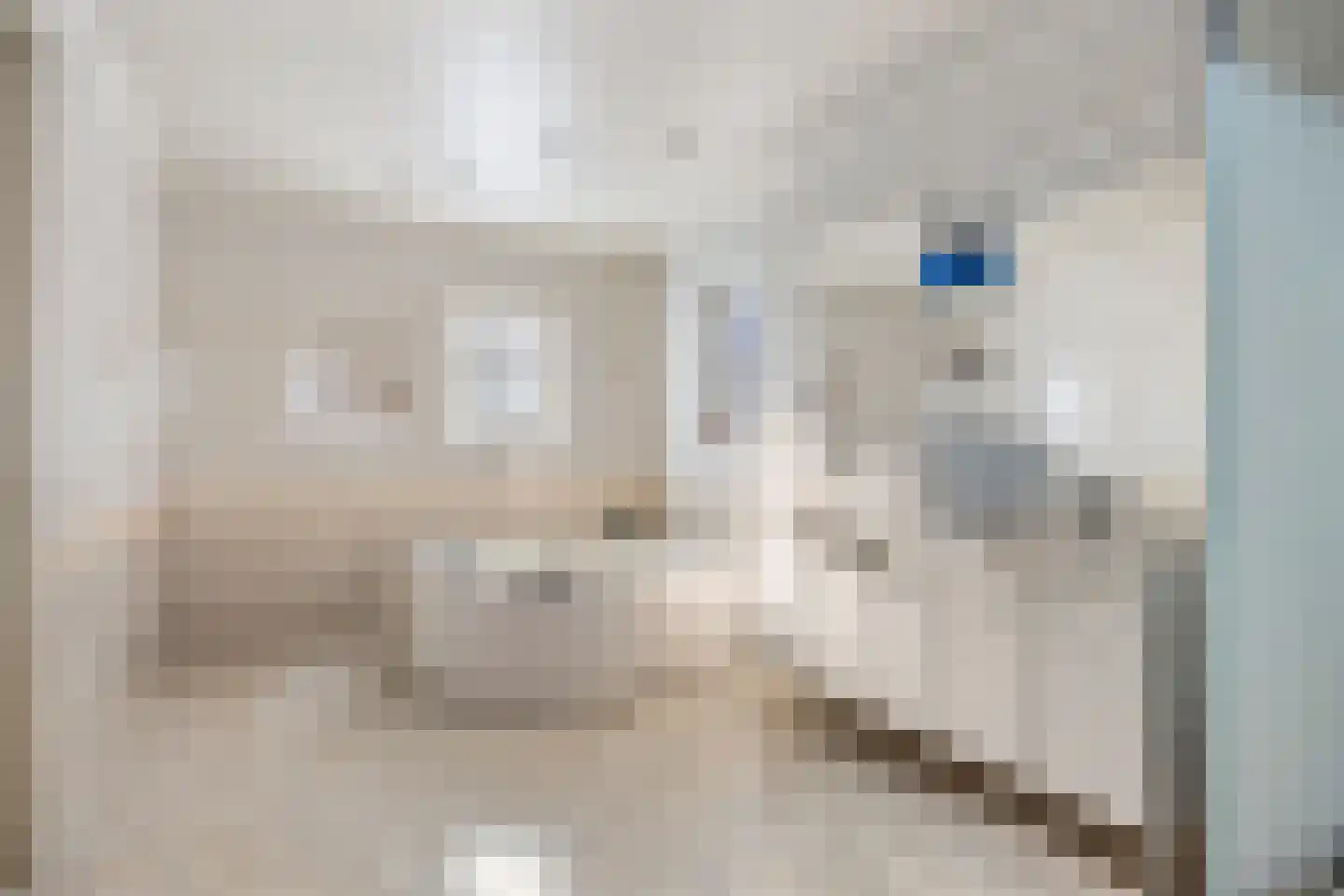 Borndiep 16 Sneek thumbnail 30