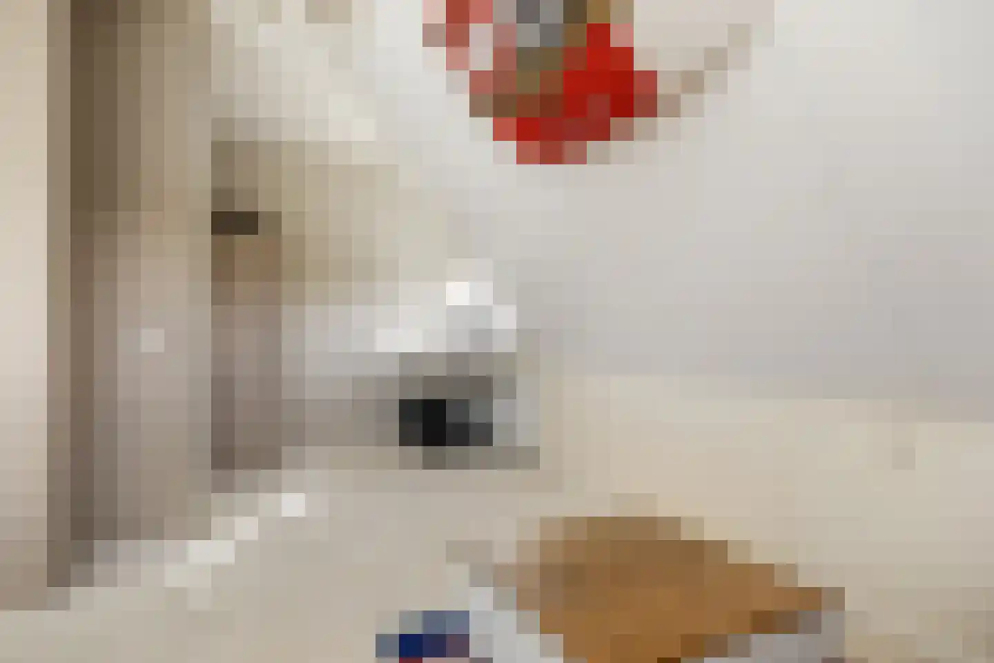 Borndiep 16 Sneek thumbnail 36