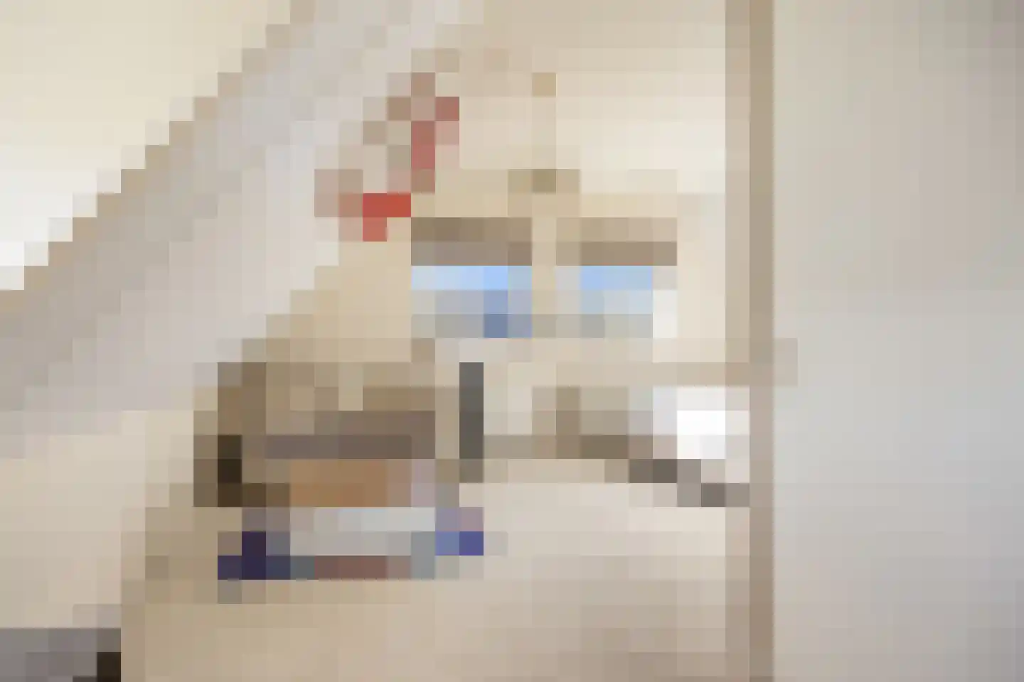 Borndiep 16 Sneek thumbnail 39
