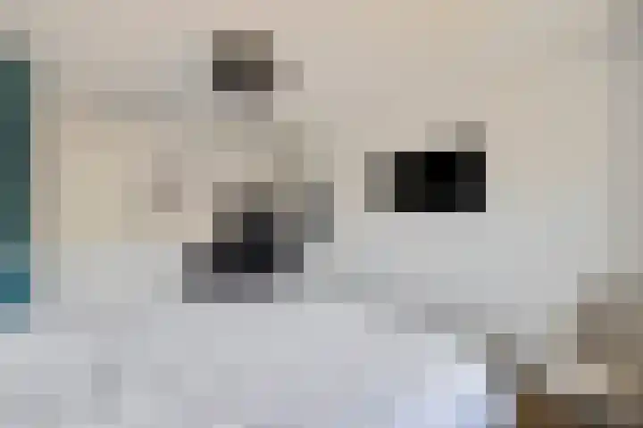 Borndiep 3 Sneek thumbnail 18