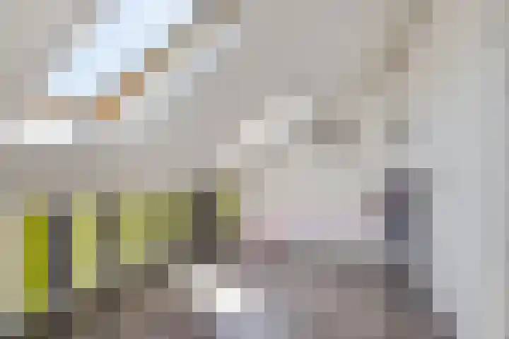 Borndiep 3 Sneek thumbnail 28