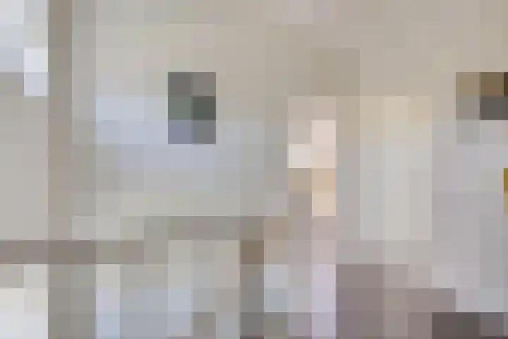 Borndiep 3 Sneek thumbnail 32