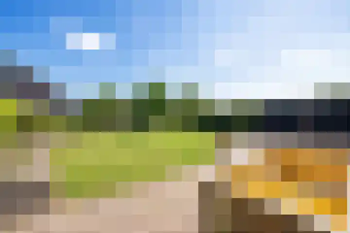 Borndiep 3 Sneek thumbnail 35