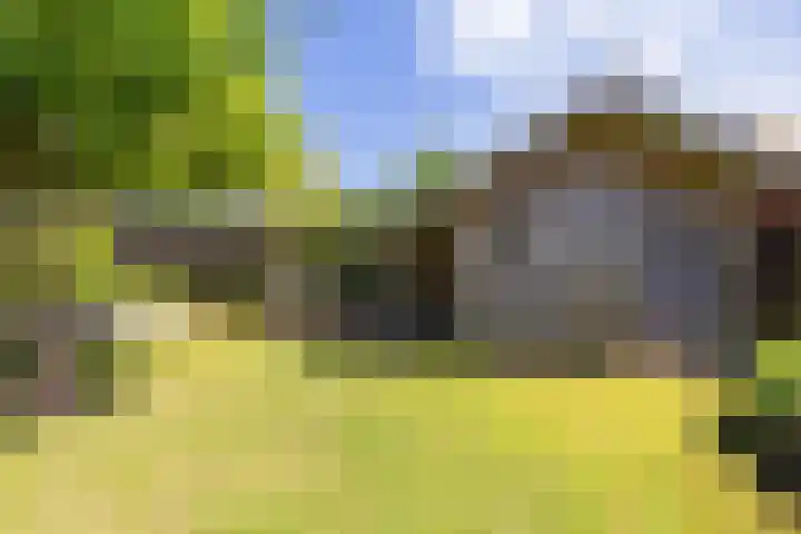 Borndiep 3 Sneek thumbnail 41