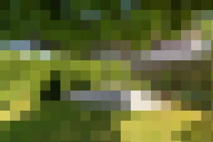 Borndiep 3 Sneek thumbnail 43