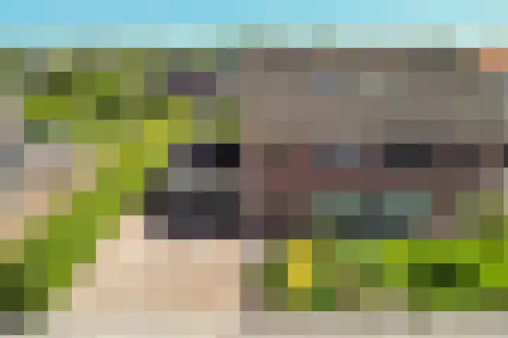 Borndiep 3 Sneek thumbnail 47