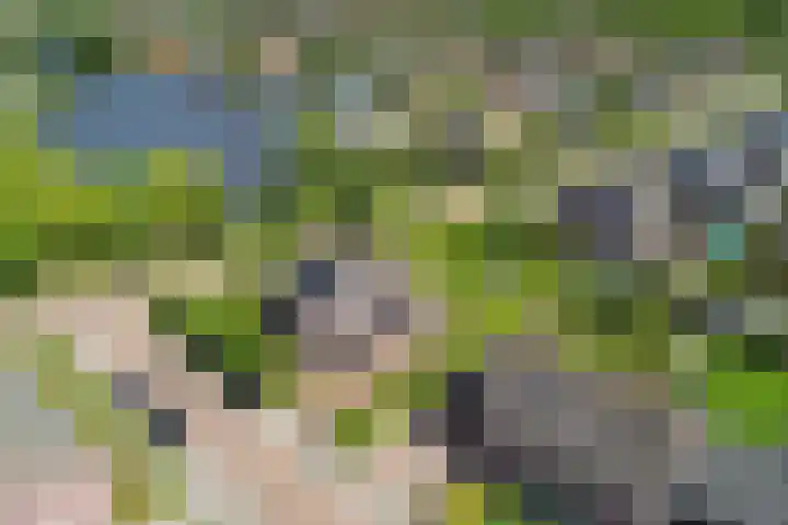 Borndiep 3 Sneek thumbnail 50
