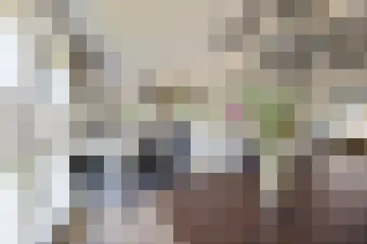 Borndiep 3 Sneek thumbnail 9