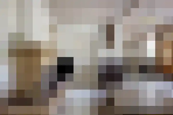 Borne 11 Schijndel thumbnail 11