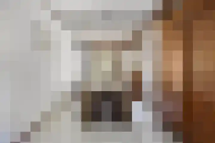 Borne 11 Schijndel thumbnail 13