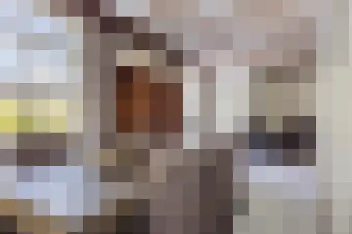 Borne 11 Schijndel thumbnail 14