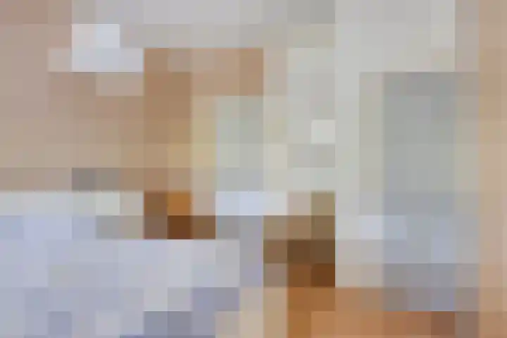 Borne 11 Schijndel thumbnail 24