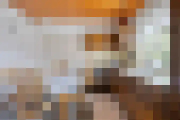 Borne 11 Schijndel thumbnail 28