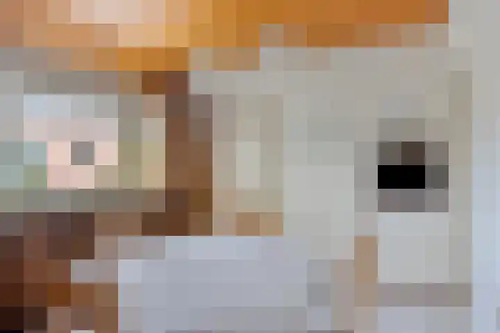 Borne 11 Schijndel thumbnail 30