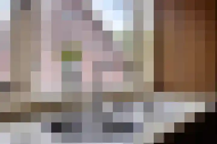 Borne 11 Schijndel thumbnail 31