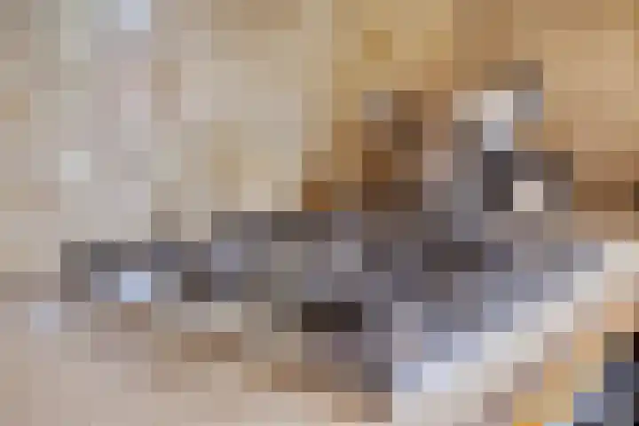 Borne 11 Schijndel thumbnail 32