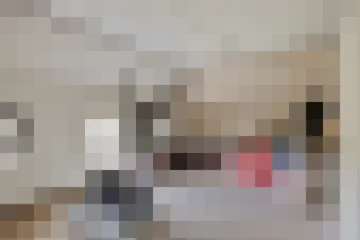 Borne 11 Schijndel thumbnail 54