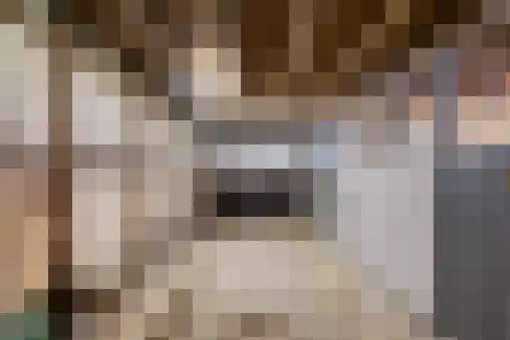 Borne 11 Schijndel thumbnail 62