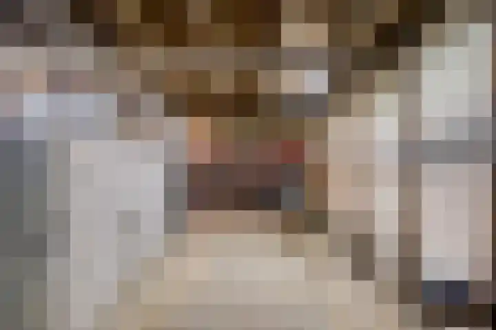 Borne 11 Schijndel thumbnail 63