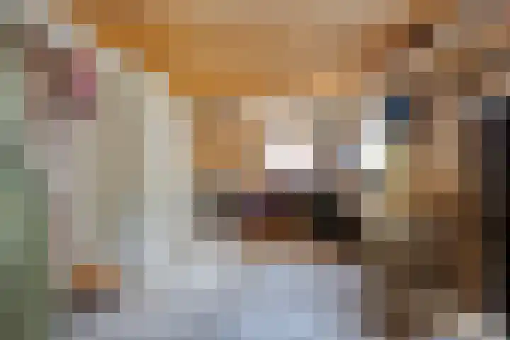 Borne 11 Schijndel thumbnail 65