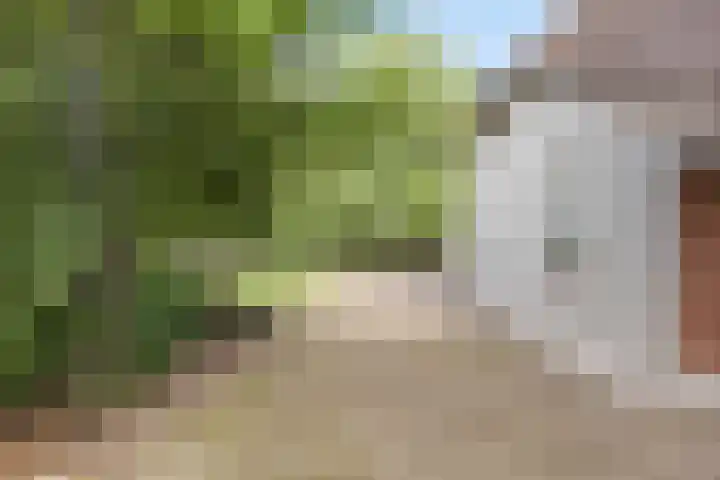 Borne 11 Schijndel thumbnail 69