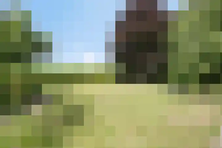 Borne 11 Schijndel thumbnail 70