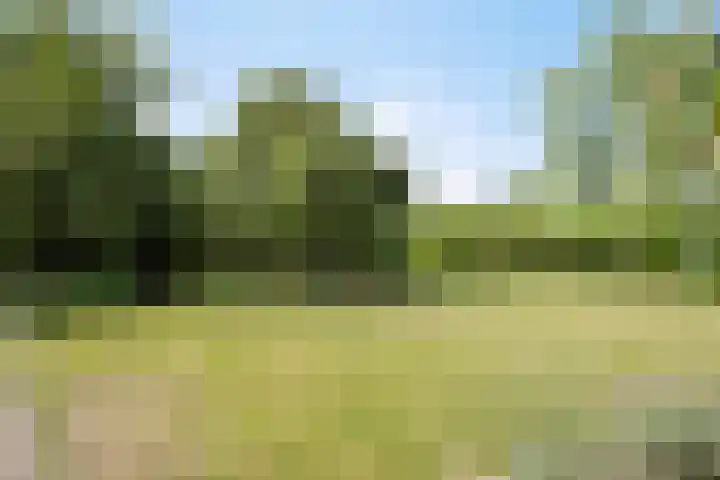 Borne 11 Schijndel thumbnail 71