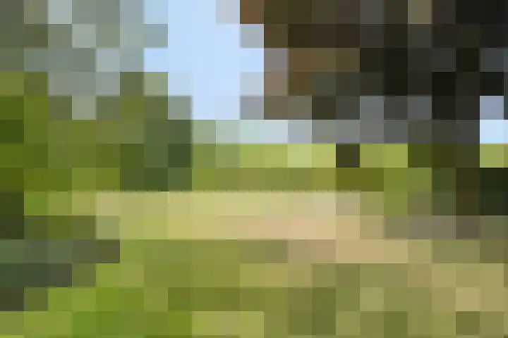Borne 11 Schijndel thumbnail 73