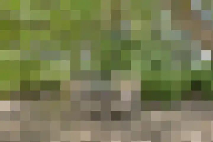 Borne 11 Schijndel thumbnail 75