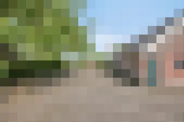 Borne 11 Schijndel thumbnail 76