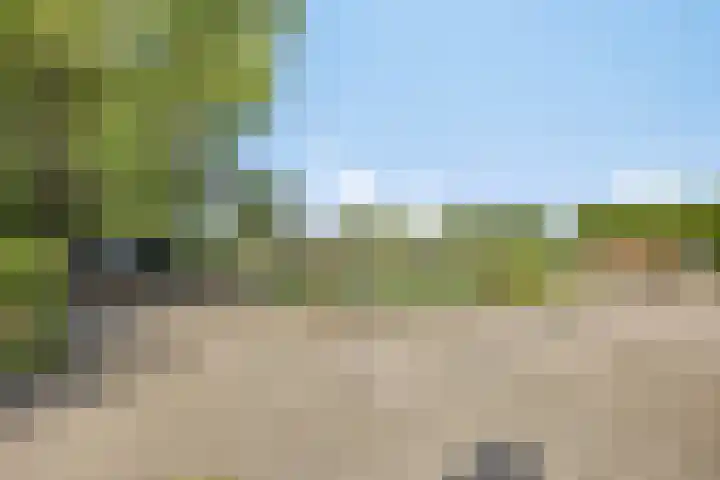 Borne 11 Schijndel thumbnail 77