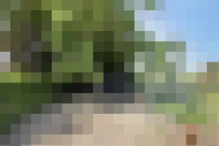 Borne 11 Schijndel thumbnail 78