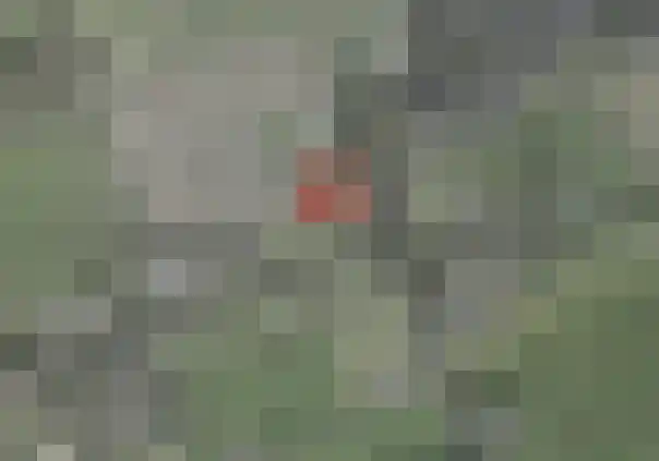 Borne 11 Schijndel thumbnail 87