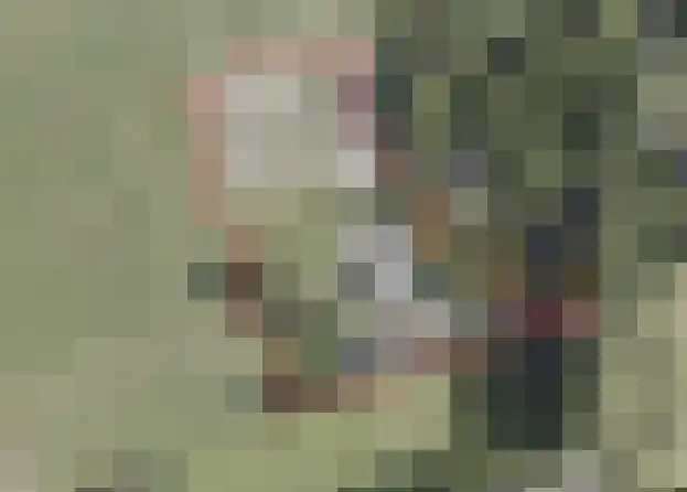 Borne 11 Schijndel thumbnail 88