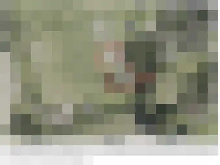 Borne 11 Schijndel thumbnail 89