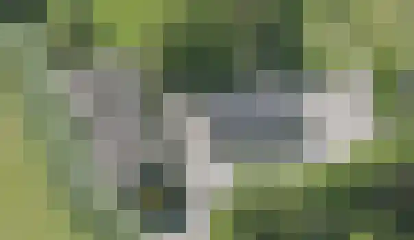 Borne 11 Schijndel thumbnail 91