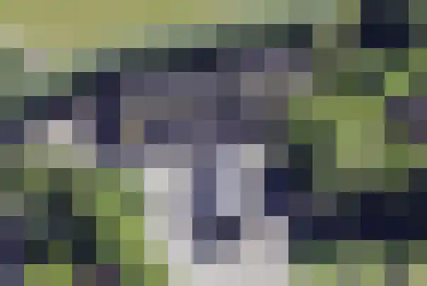 Borne 11 Schijndel thumbnail 92