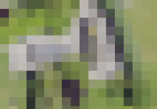 Borne 11 Schijndel thumbnail 93