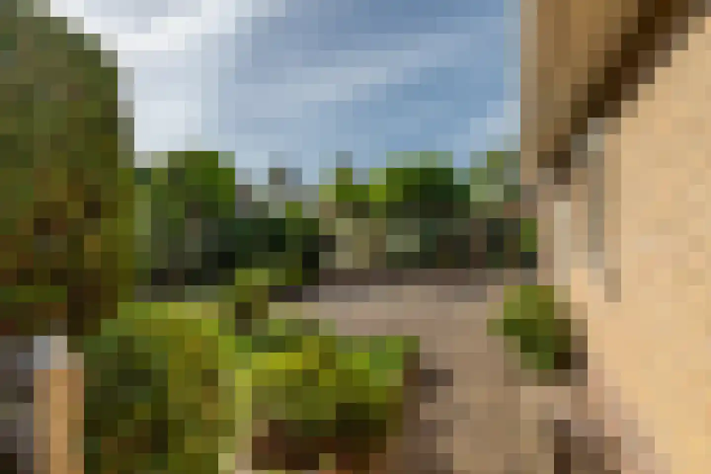 Borné 58 Zoutelande thumbnail 31
