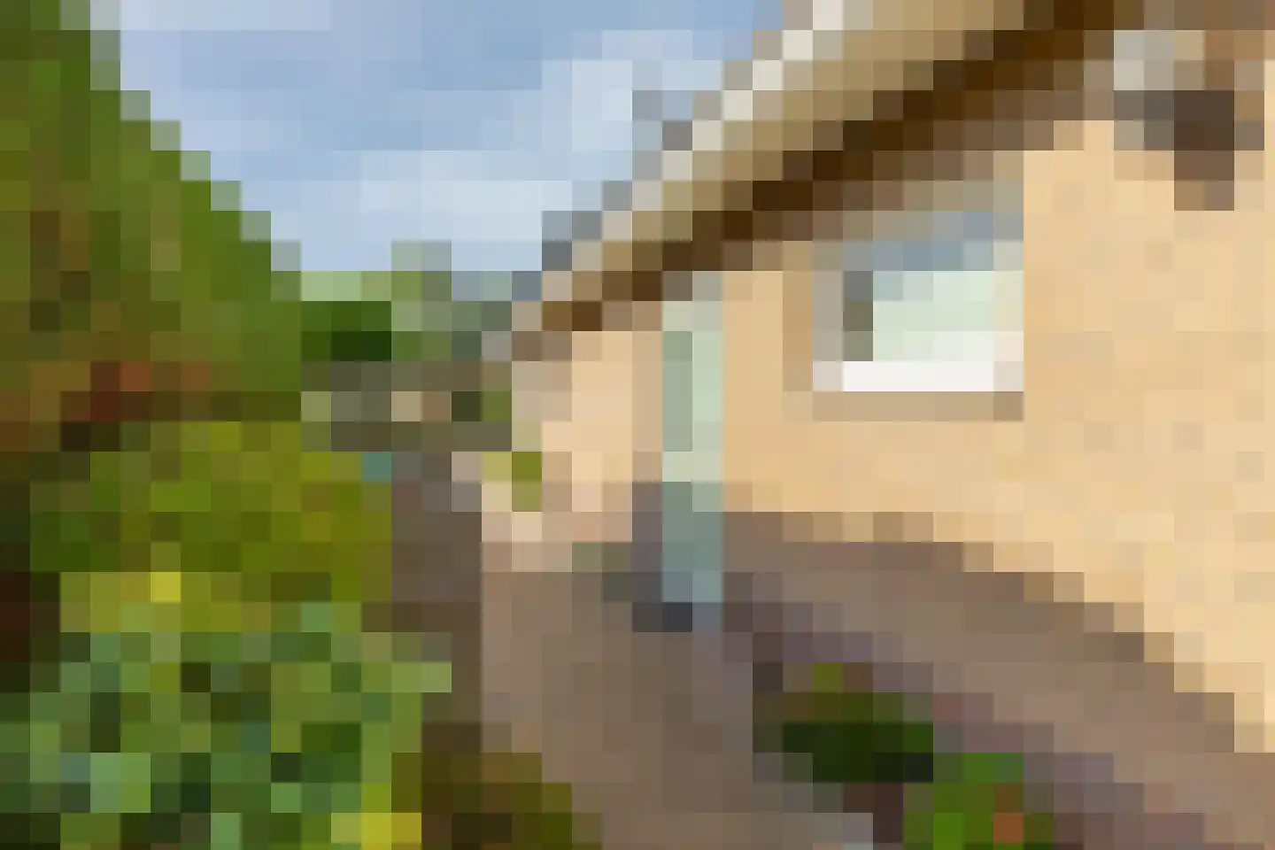 Borné 58 Zoutelande thumbnail 32