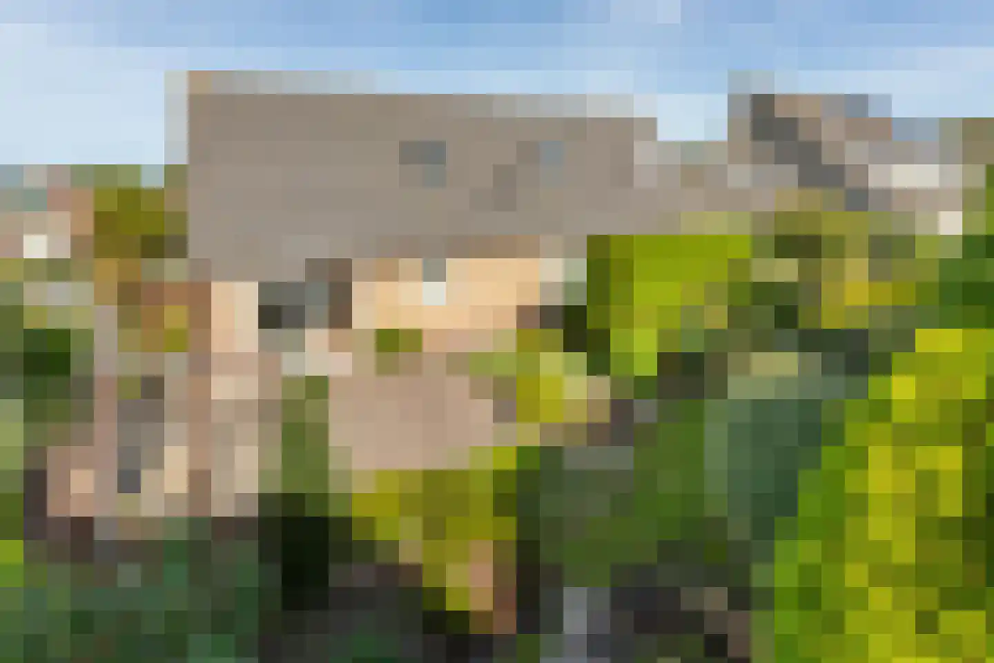 Borné 58 Zoutelande thumbnail 4