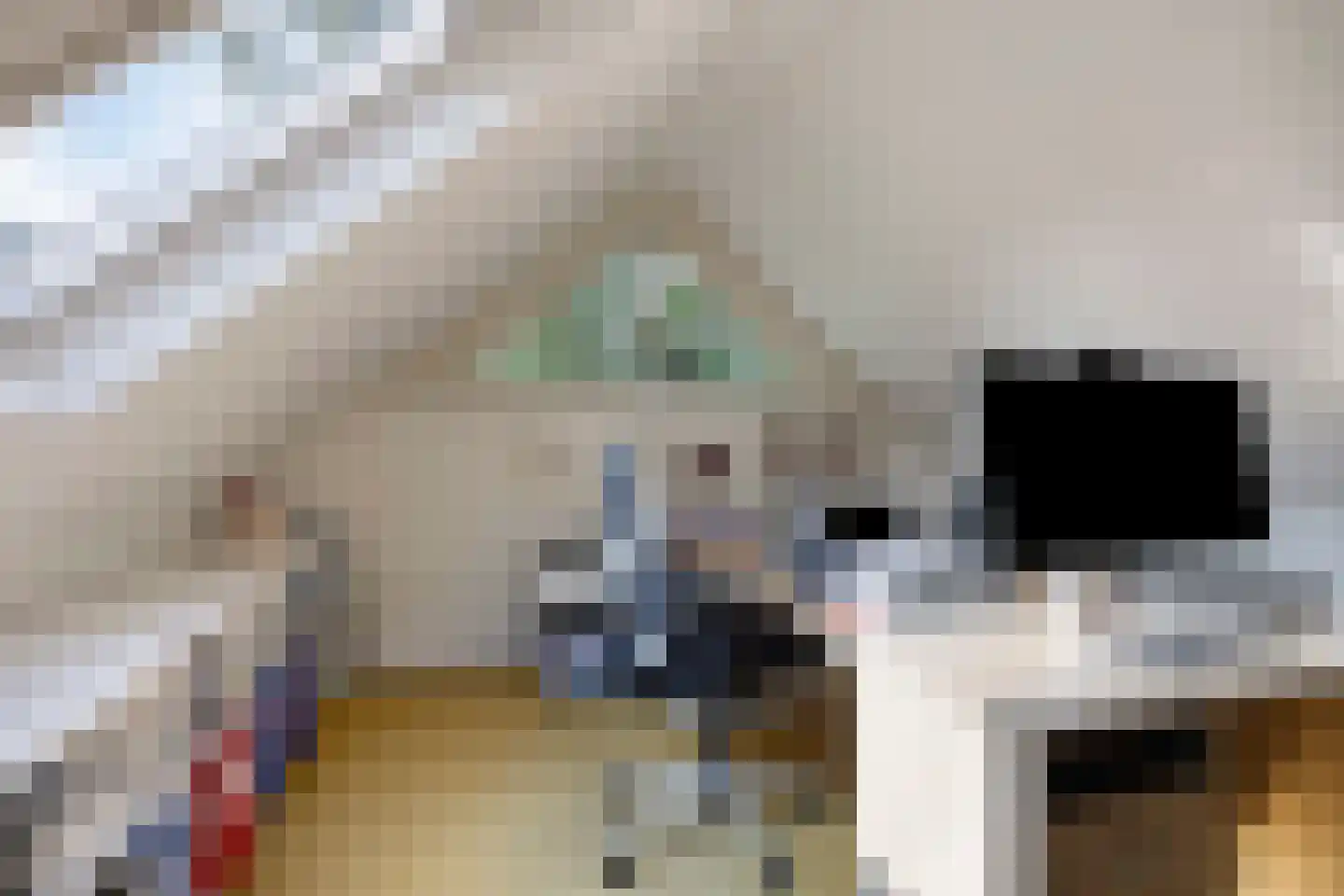Bornego 14 Terband thumbnail 22