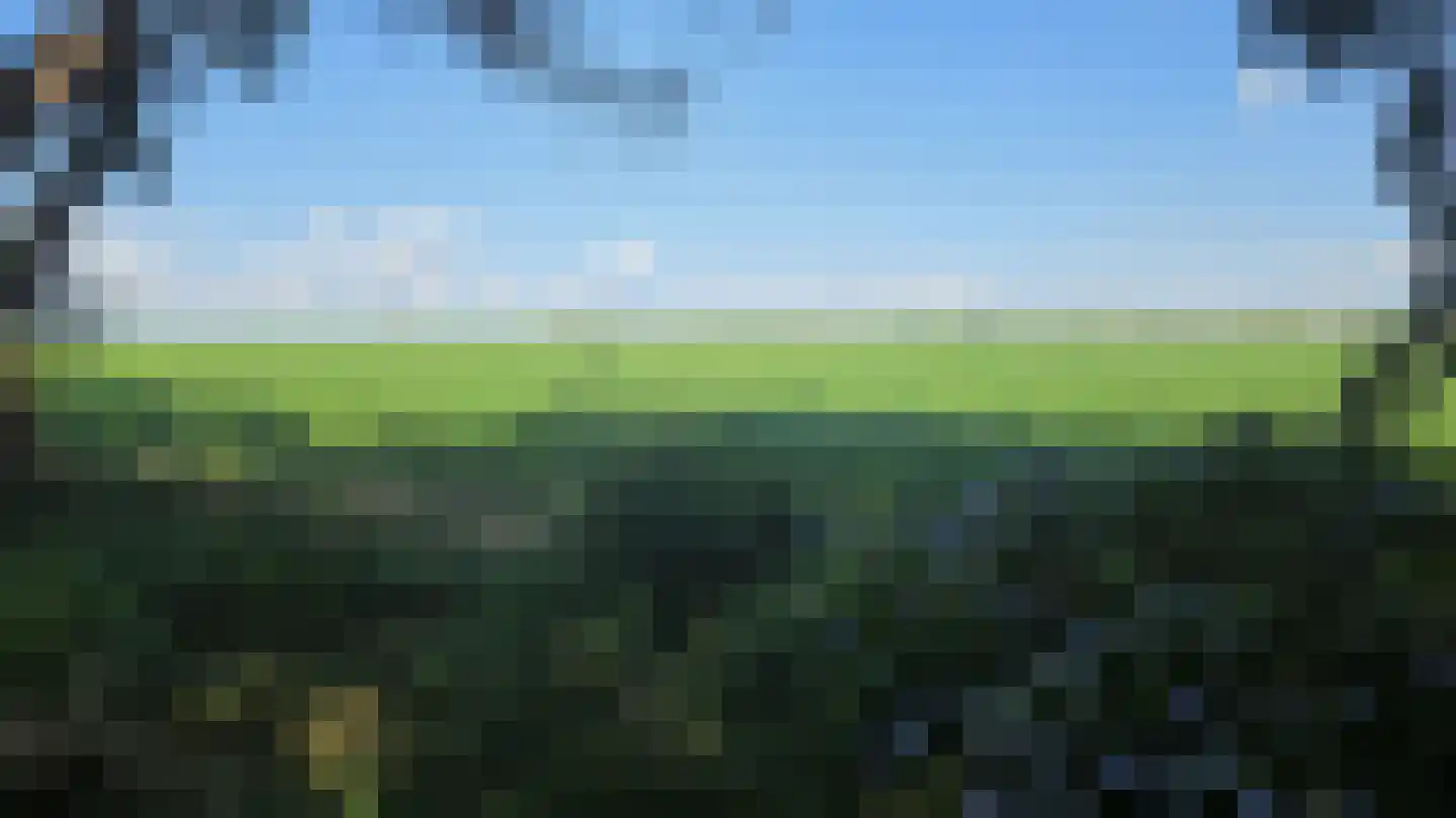 Bornego 14 Terband thumbnail 25