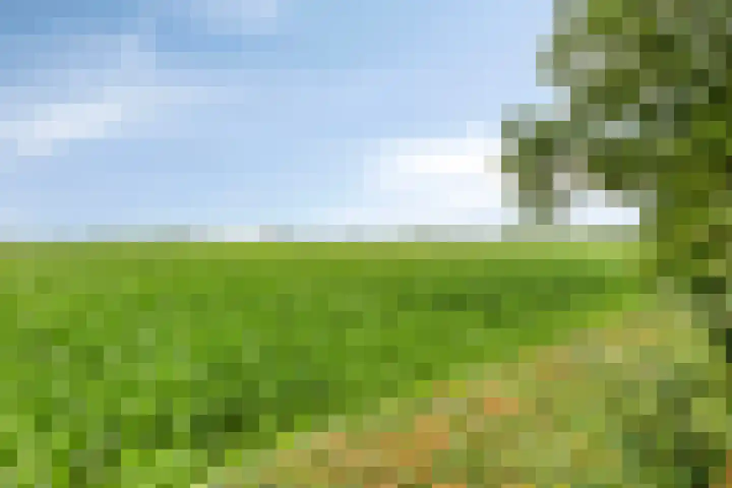Bornego 14 Terband thumbnail 26